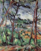 Paul Cezanne Lanscape near Aix-the Plain of the arc river Spain oil painting artist